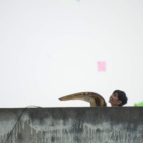 Photo #11674140