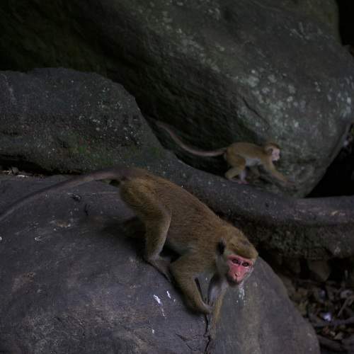 Photo #11674165