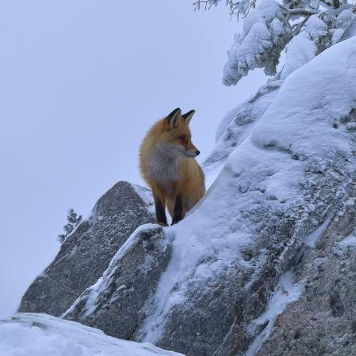 Photo #11674206