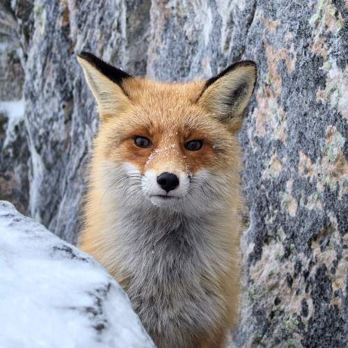 Photo #11674210