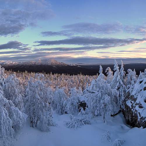 Photo #11674240