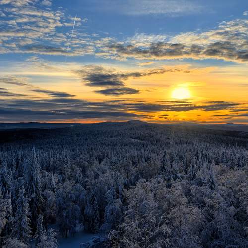 Photo #11674258