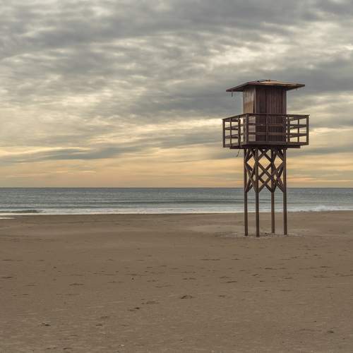 Photo #11674272