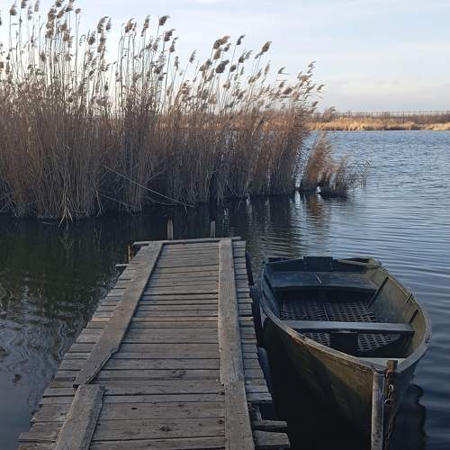 Photo #11674496