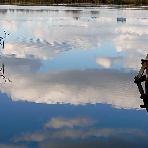 Photo #11674517