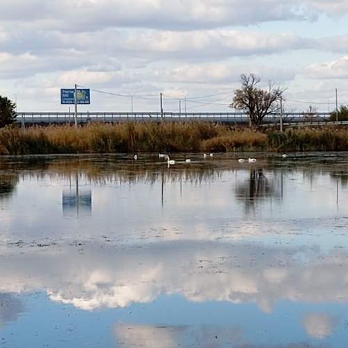 Водное отражение