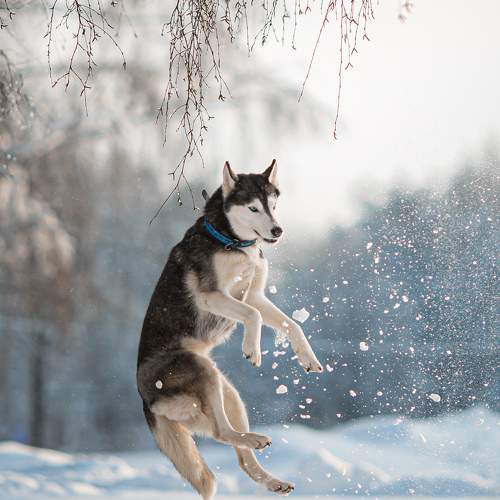 Photo #11674601