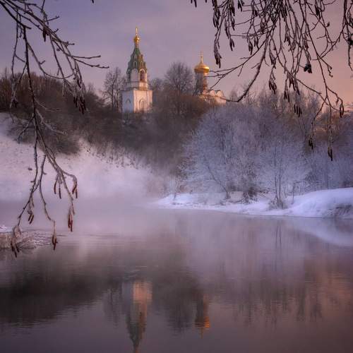 Photo #11674828
