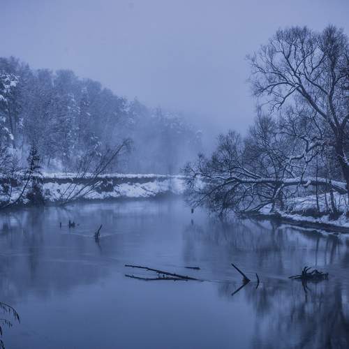 Photo #11674853