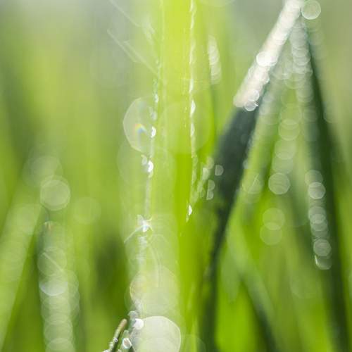 Photo #11675097