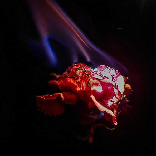 Photo #11675105