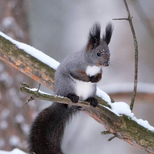 Photo #11675112