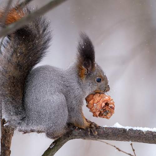 Photo #11675128