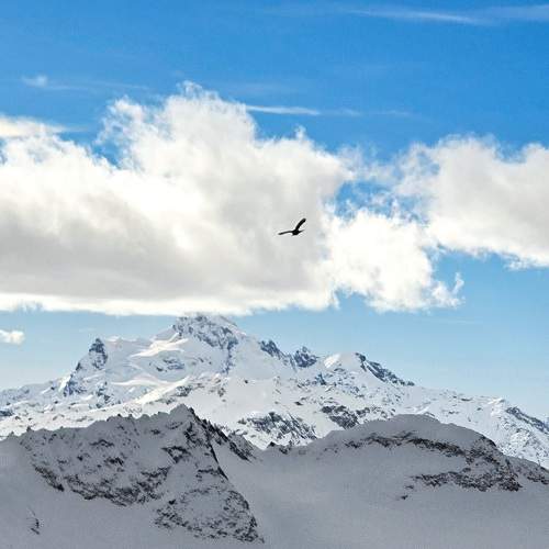 Photo #11675233