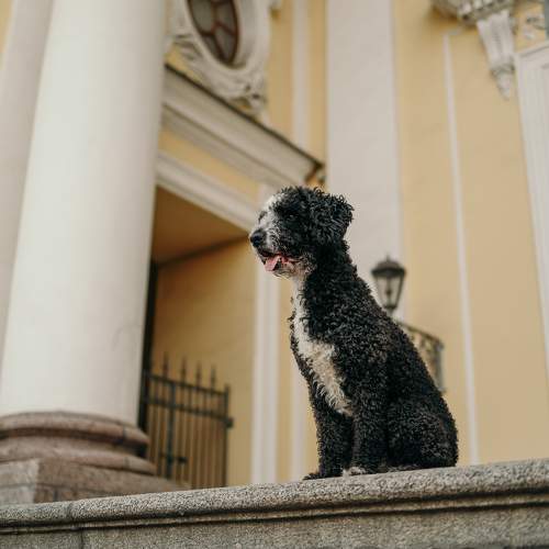 Photo #11675298