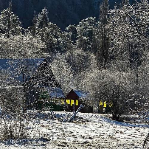 Photo #11675370