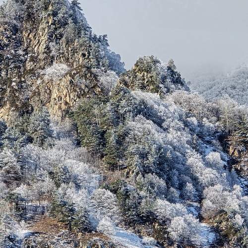 Photo #11675374