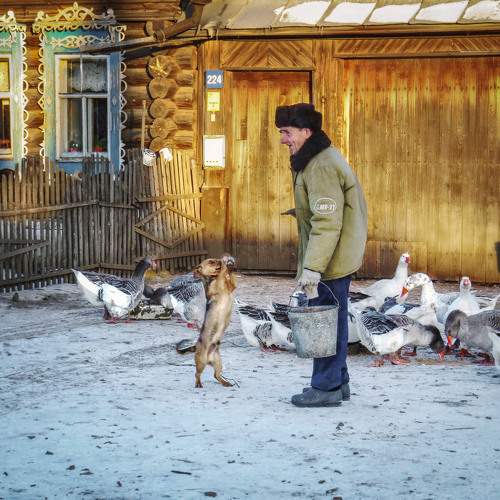 Photo #11675504