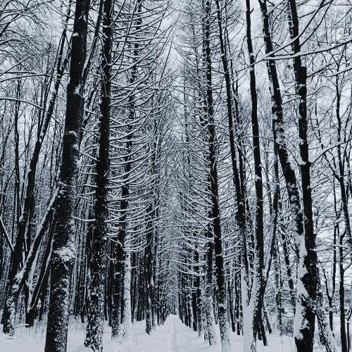 Photo #11675531