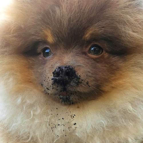 Photo #11675753