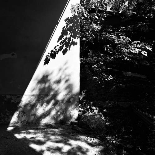 Photo #11675856
