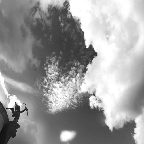Photo #11676051