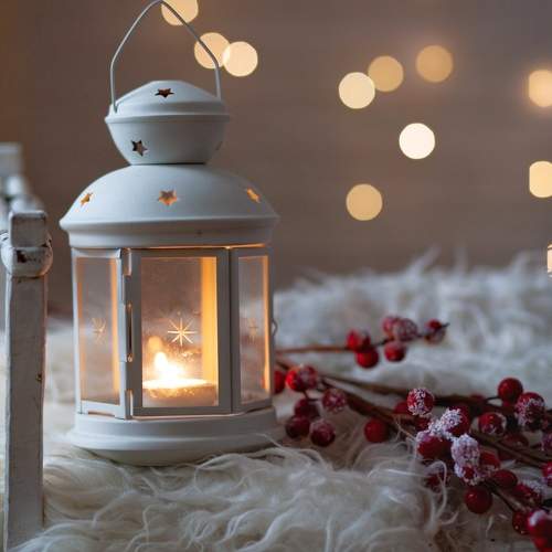 Photo #11676321