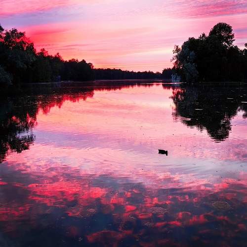 Photo #11676358