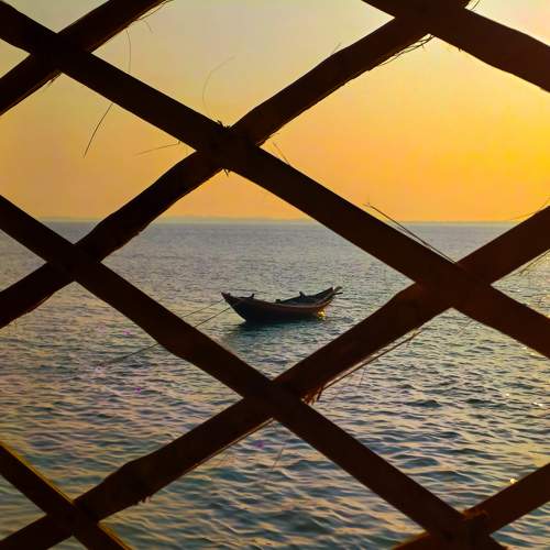 Photo #11676474