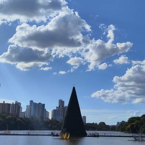 Photo #11676585