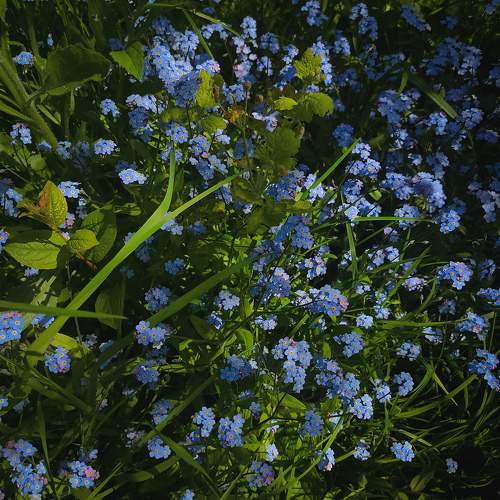 Photo #11676642