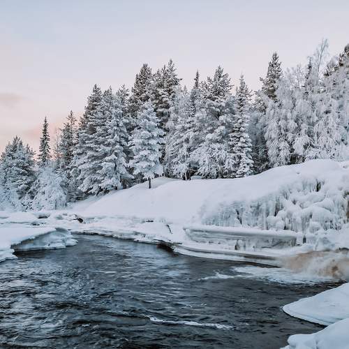 Photo #11677748