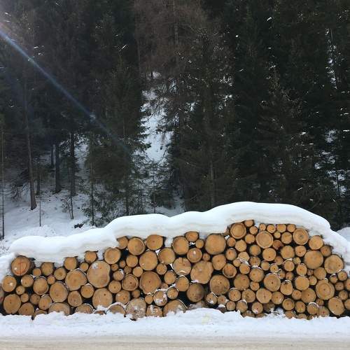 Photo #11677976