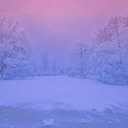 Photo #11678132