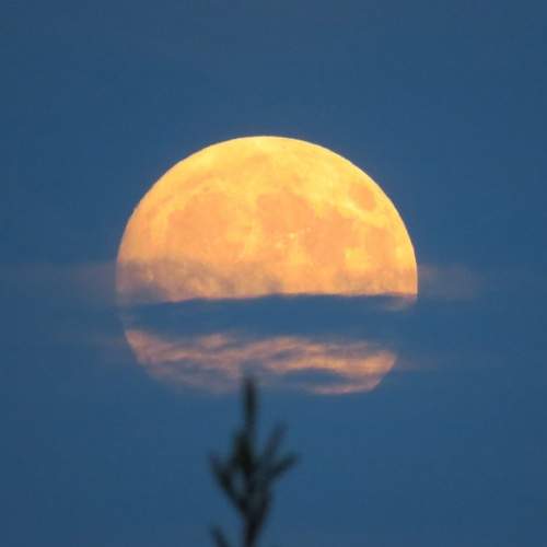 Photo #11678376