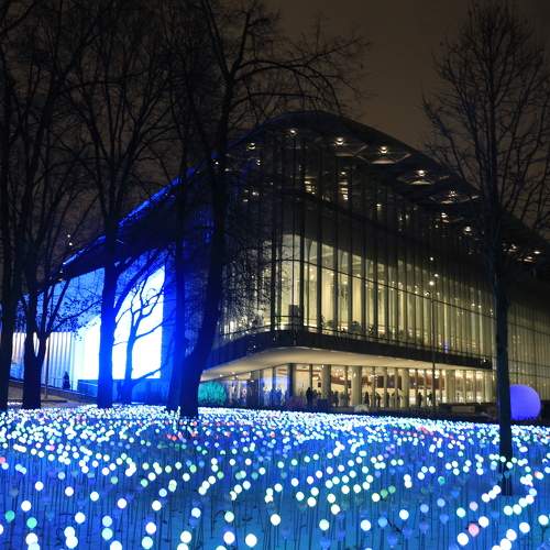 Photo #11678421
