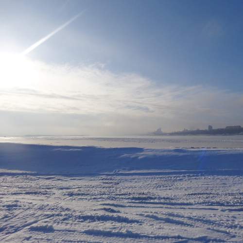 Photo #11678519