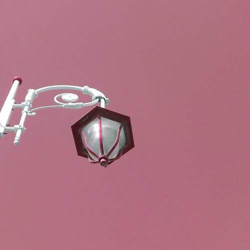 Photo #11678729