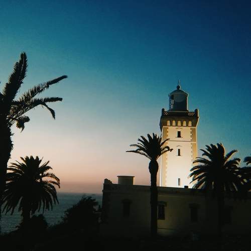 Photo #11678731