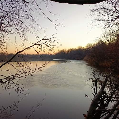 Photo #11678748