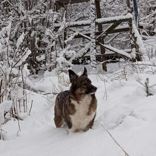 Photo #11678827