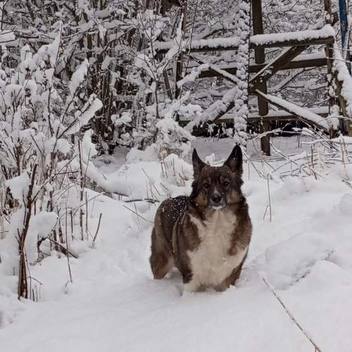 Photo #11678828