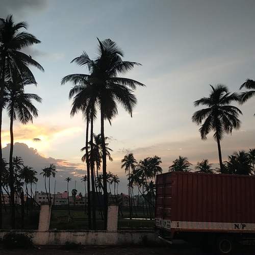 Photo #11678933