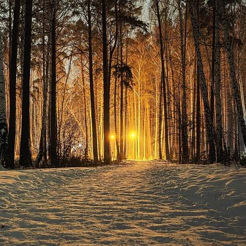 Photo #11679036