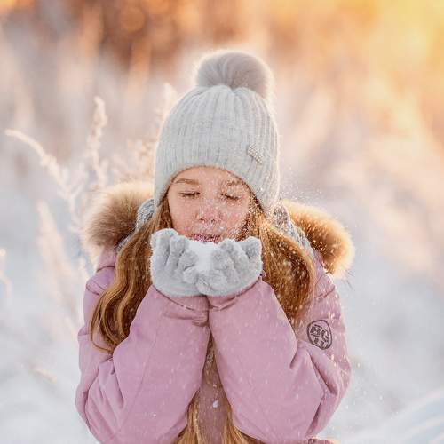 Photo #11679041