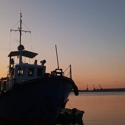 Photo #11679248