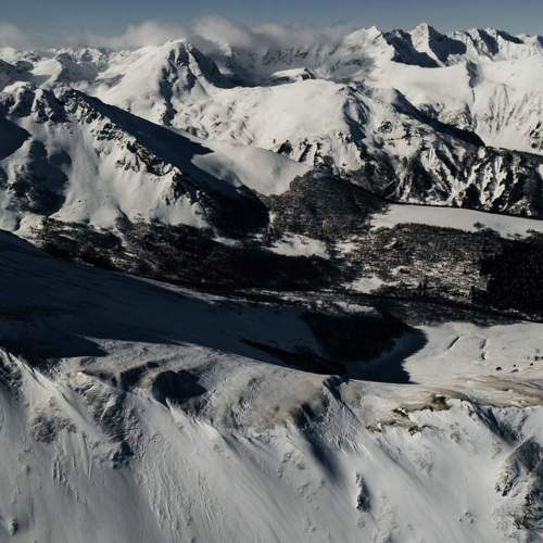 Photo #11679265