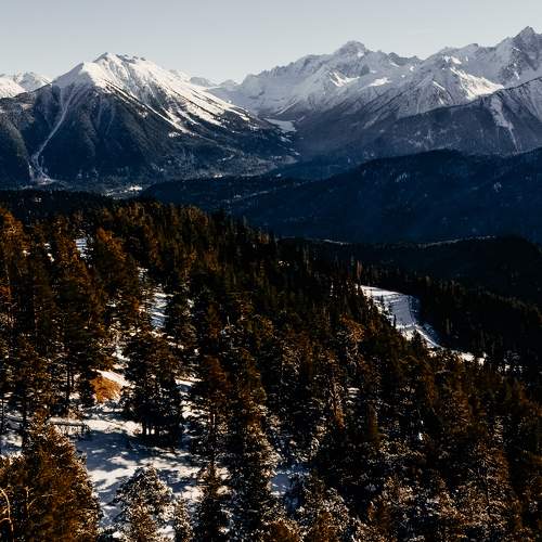Photo #11679267