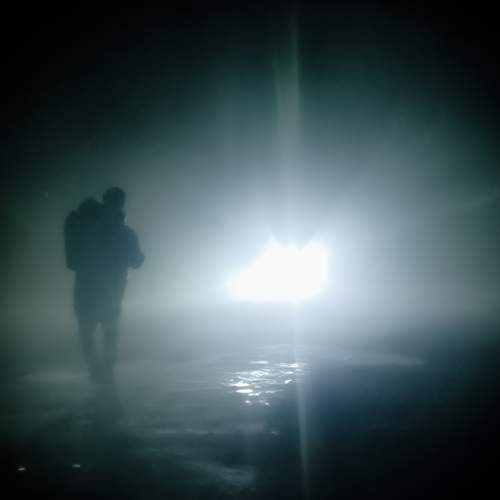 Photo #11679409