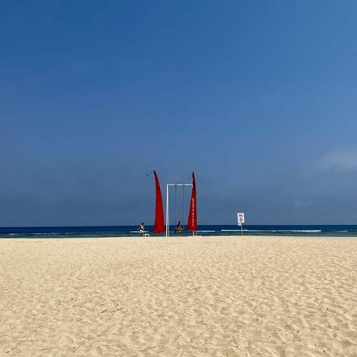 Photo #11679491